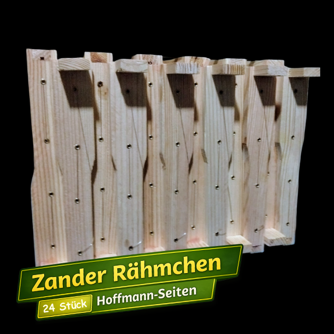Zander Rähmchen Paket 1 – Bild 1
