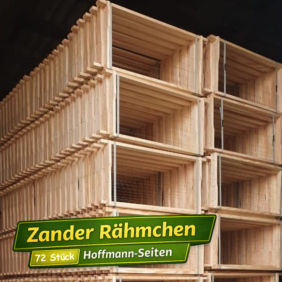 Zander Rähmchen Paket 3
